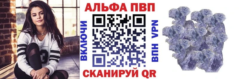 Альфа ПВП СК Задонск