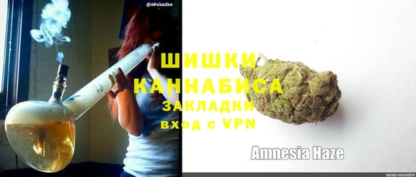 дурь Заводоуковск