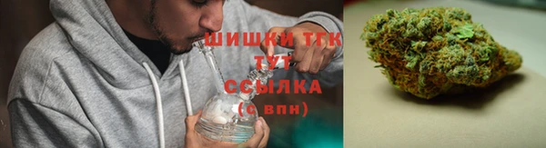 дурь Заводоуковск