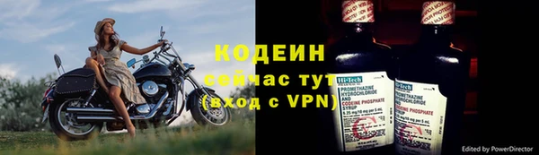 дурь Заводоуковск