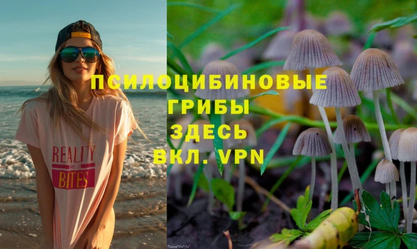дурь Заводоуковск