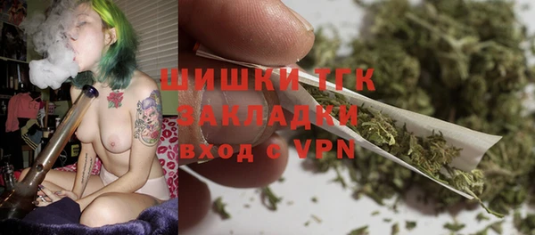 дурь Заводоуковск