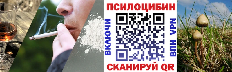Псилоцибиновые грибы Psilocybine cubensis Задонск